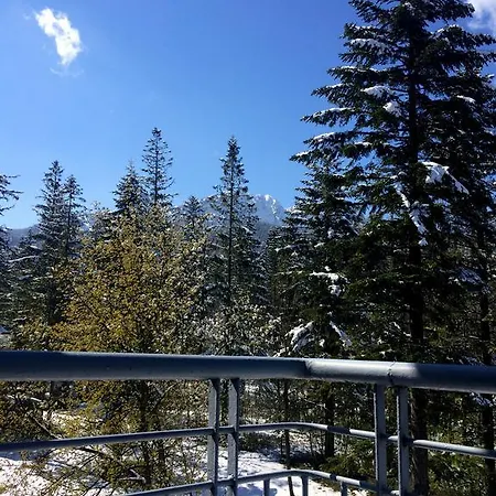 Bed & Breakfast Astoria - Literatow